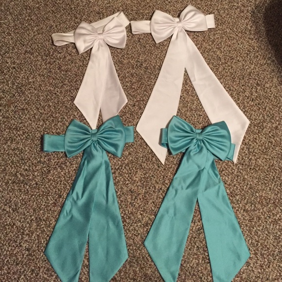 Bows for flower girl dress. David's bridal.