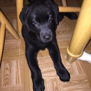 Meet your Posher, Brooke