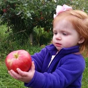 Meet your Posher, Amanda-craig