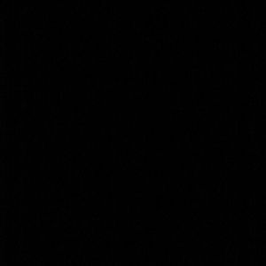 Meet your Posher, Chasity