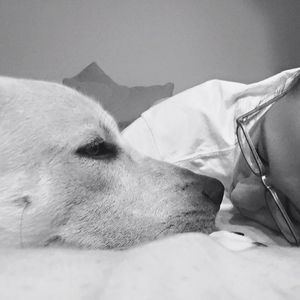 Meet your Posher, Hayley