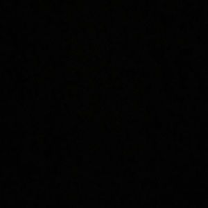 Meet your Posher, Bianca