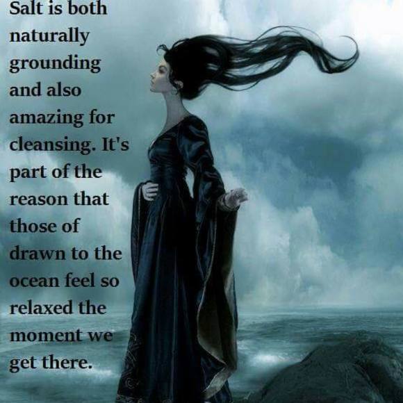 Meet your Posher, Hollyann