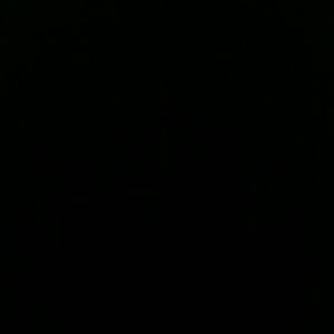 Meet your Posher, Yessica