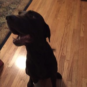 Meet your Posher, Meredith