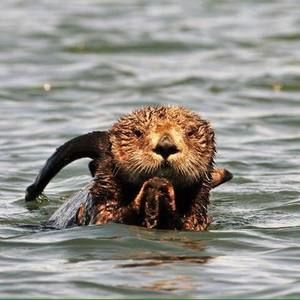 Meet your Posher, Jaimie