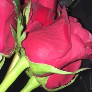 Meet your Posher, Ale