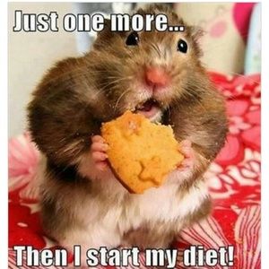 Meet your Posher, Alberto