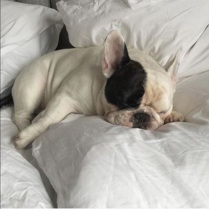 Meet your Posher, Patrick