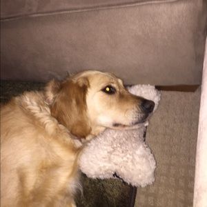 Meet your Posher, Pat