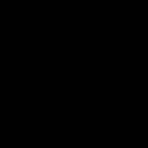 Meet your Posher, Tywanna