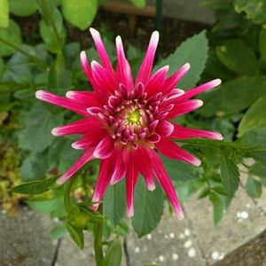 Meet your Posher, Mariah