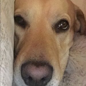 Meet your Posher, Caitlin