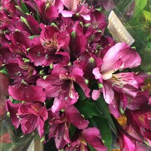 Meet your Posher, Barbara