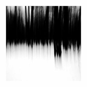 Meet your Posher, Art Noise