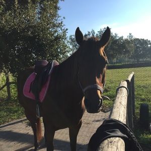 Meet your Posher, Melanie