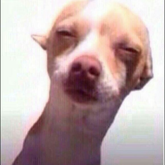 Meet your Posher, Sam