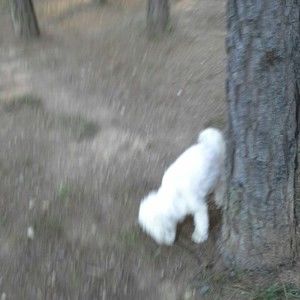 Meet your Posher, Reba