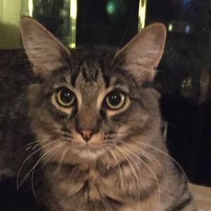 Meet your Posher, Kerri