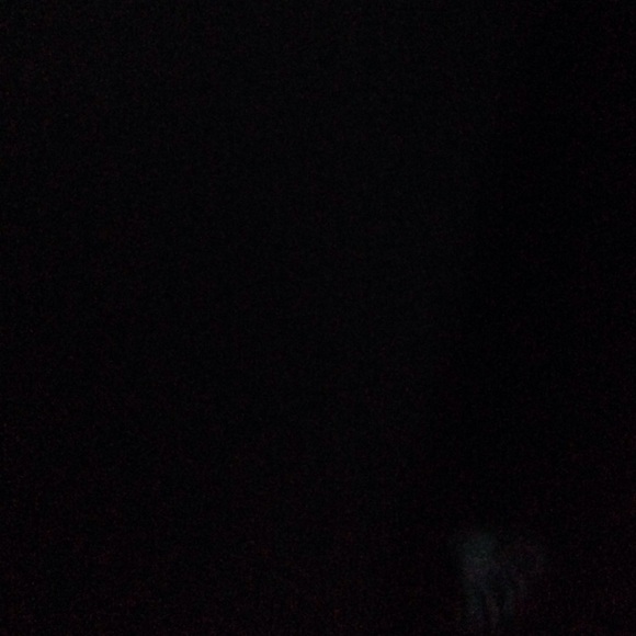 Meet your Posher, Mia - Picture 1 of 1