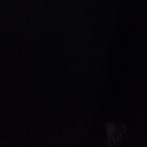 Meet your Posher, Mia