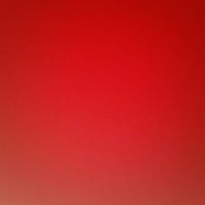 Meet your Posher, Chelsea