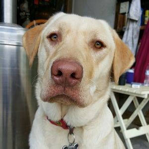 Meet your Posher, Angie