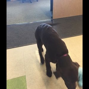 Meet your Posher, Jennifer