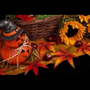 Meet your Posher, Sophan