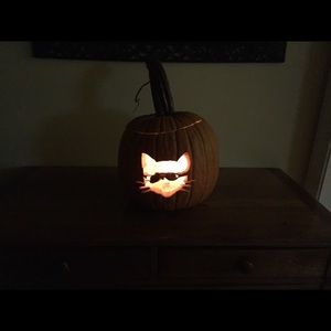 Meet your Posher, Lacey