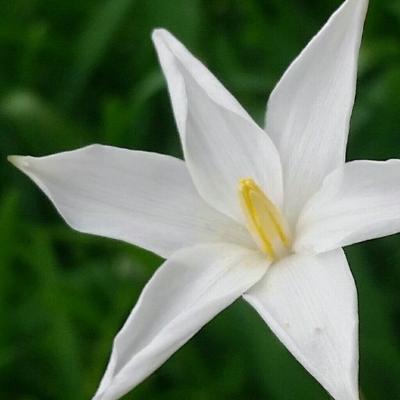 Meet your Posher, Ava