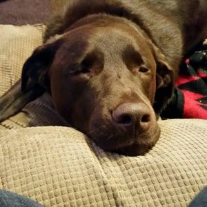 Meet your Posher, Nancy