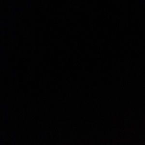 Meet your Posher, Brady