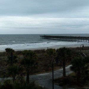 Meet your Posher, Shawnise