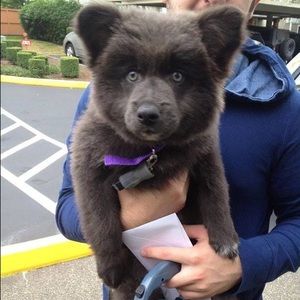 Meet your Posher, Cara