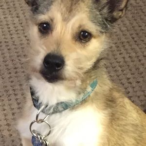 Meet your Posher, Mary-Ellen