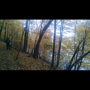 Meet your Posher, Alexa