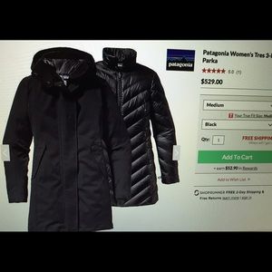 Patagonia Tres Parka