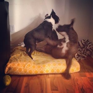 Meet your Posher, Leslie