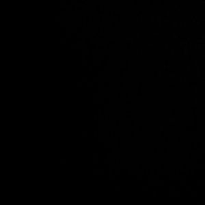 Meet your Posher, Simone