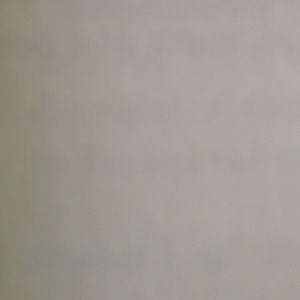 Meet your Posher, Abigail