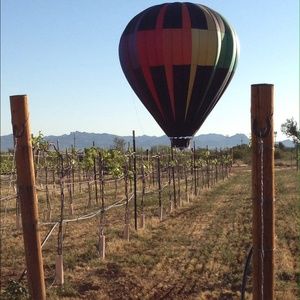 Meet your Posher, Liane