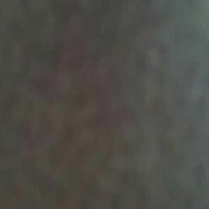 Meet your Posher, Tiauna