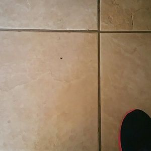 Meet your Posher, Cassandra