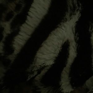 Meet your Posher, Nena