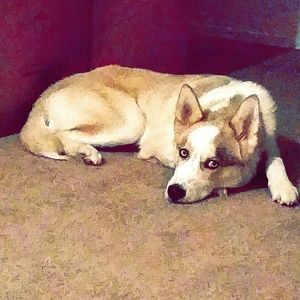 Meet your Posher, Austin