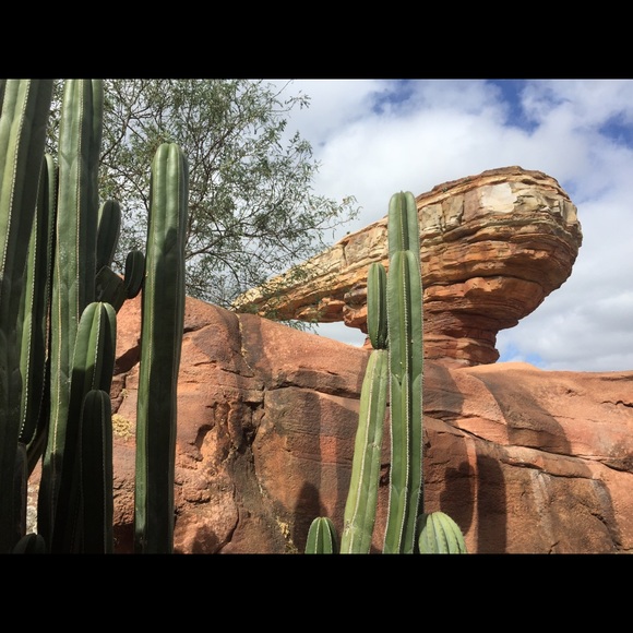 Meet your Posher, Mikayla