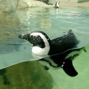 Meet your Posher, Joanna