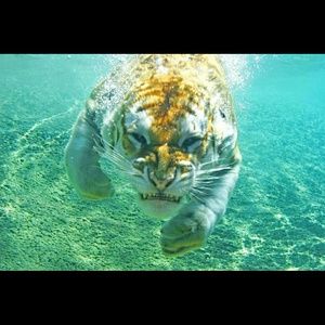 Meet your Posher, Bryan