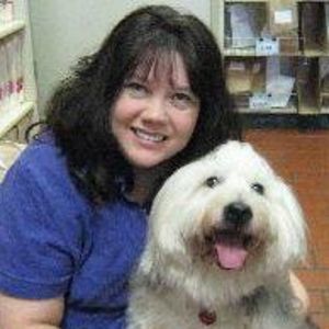 Meet your Posher, Robyn